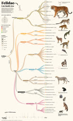 00-0-Copr_2025-Unknownt.jpg
