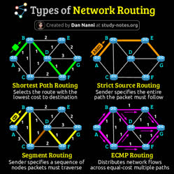 11-0-Copr_2025-Unknown.jpg 11-0-Copr_2025-Unknownt.jpg