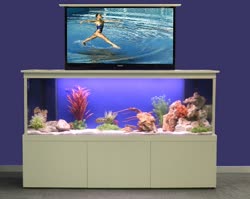 tv-tank-worlds-first-tv-concealing-aquariumt.jpg