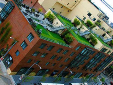 9-23-08_rooftop_gardent.jpg