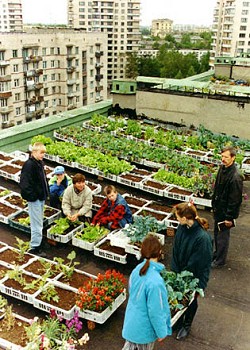 RooftopRevolution.jpeg