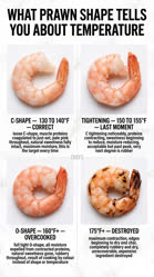 09-0-Copr_2026-Chefst.jpg