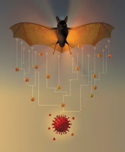 bat-lady