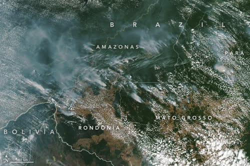 https://earthobservatory.nasa.gov/images/145464/fires-in-brazil