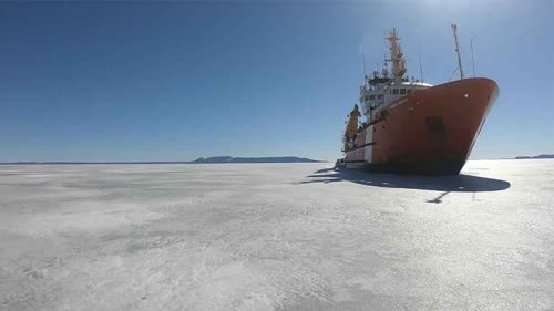 https://www.cbc.ca/news/politics/coast-guard-icebreakers-davie-1.4718592