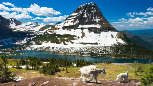 https://www.ctvnews.ca/world/montana-park-is-replacing-signs-that-predicted-its-glaciers-would-be-gone-by-2020-1.4759675