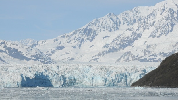 http://www.cbc.ca/news/canada/north/hubbard-glacier-defies-climate-change-continues-advancing-1.3106914