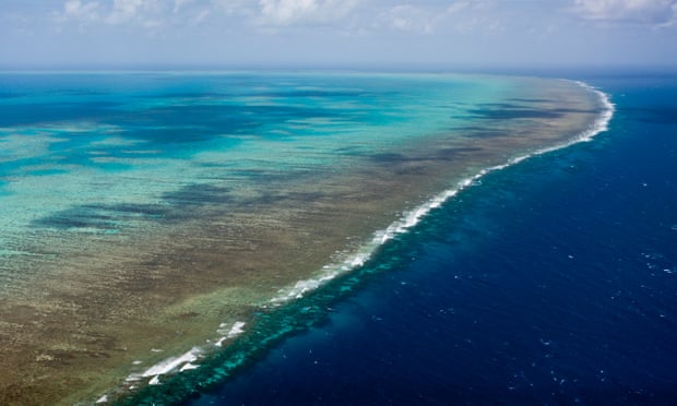 https://www.theguardian.com/environment/2019/nov/07/great-barrier-reef-scientists-find-banned-pesticides-and-blast-chemical-regulator