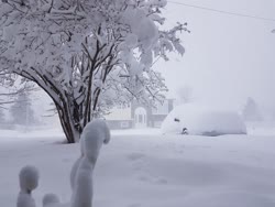  Blizzard in Newfoundland in late May