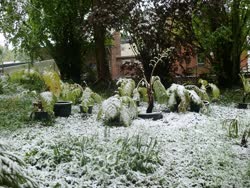  May 3rd snow.