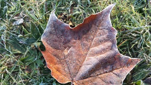 https://www.cbc.ca/news/canada/british-columbia/vancouver-has-coldest-oct-9-in-nearly-60-years-1.5315237