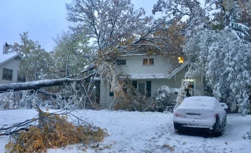 https://www.cbc.ca/news/canada/manitoba/snow-storm-highways-schools-trees-manitoba-1.5317599