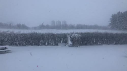 https://www.cbc.ca/news/canada/saskatchewan/blizzard-winter-storm-warnings-for-southern-saskatchewan-1.5114429