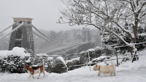 https://www.bbc.com/news/in-pictures-47055649