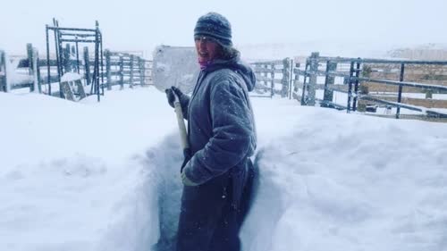 https://www.cbc.ca/news/canada/calgary/southern-alberta-lethbridge-cardston-snowstorm-1.5795035