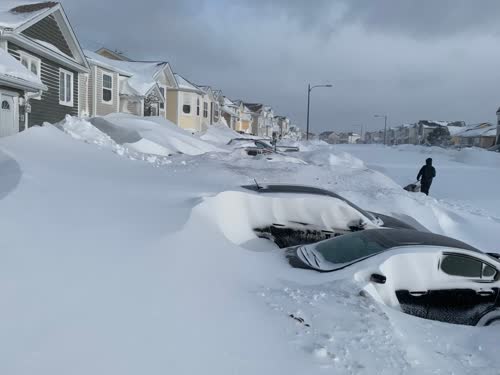 https://www.cbc.ca/news/canada/newfoundland-labrador/newfoundland-blizzard-photos-1.5432138?