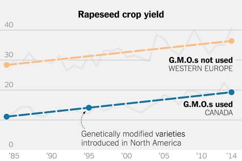 Europe did better without GMO crops