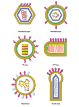  Structure Unifies the Viral Universe