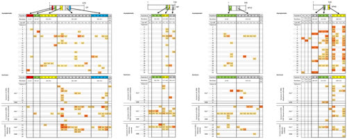 http://journals.plos.org/plosone/article?id=10.1371/journal.pone.0096360