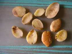  Wild mango, African mango, bush mango, dika or ogbono