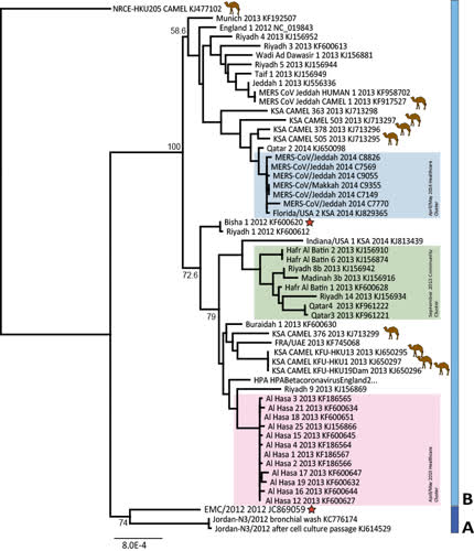 https://virologydownunder.blogspot.ca/2014/05/updated-mers-cov-full-genome-tree.html