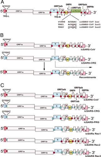 http://www.pnas.org/content/103/33/12546