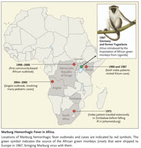  Marburg Hemorrhagic Fever  The Forgotten Cousin Strikes