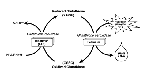 Selenium deficiency