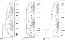  Genomic Characterisation of Vinegar Hill Virus, An Australian Nairovirus Isolated in 1983 from Argas Robertsi Ticks Collected from Cattle Egrets