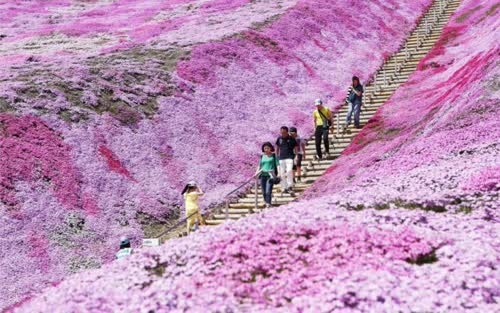 The Japanese prefecture initially looked to have contained the outbreak, but a fresh wave of new cases has seen a state of emergency implemented again - B434/B434