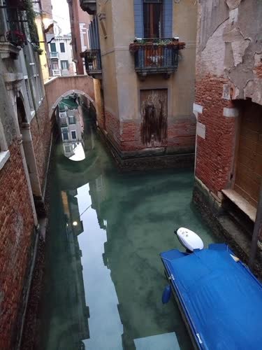 Venice canals, unused, are clear of silt and dolphins have returned.