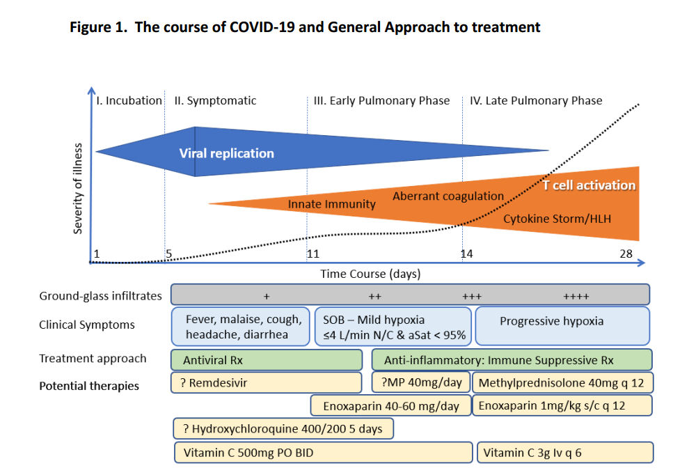 https://www.evms.edu/media/evms_public/departments/internal_medicine/EVMS_Critical_Care_COVID-19_Protocol.pdf