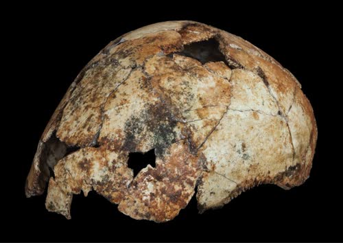 https://theconversation.com/fossil-find-suggests-homo-erectus-emerged-200-000-years-earlier-than-thought-135068