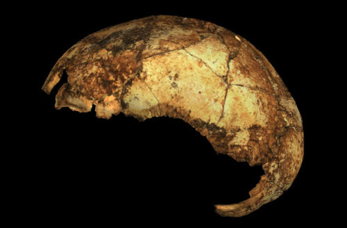 https://www.discovermagazine.com/planet-earth/our-ancestor-homo-erectus-is-200-000-years-older-than-previously-thought