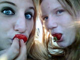 strawberriest.jpg