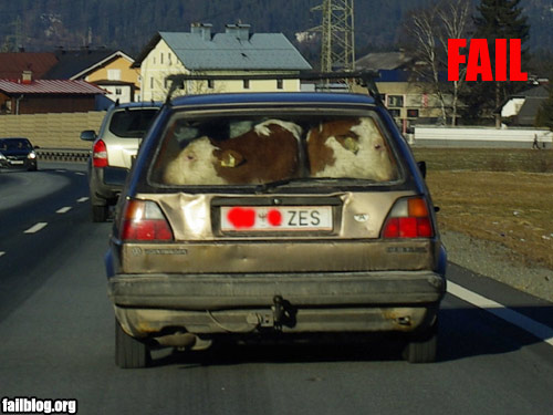 fail-owned-livestock-fail.jpg