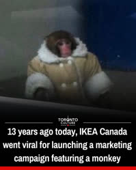 02-0-Copr_2025-Ikea_Monkeyt.jpg