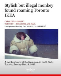 03-0-Copr_2025-Ikea_Monkeyt.jpg