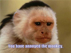 annoyed_monkeyt.jpg