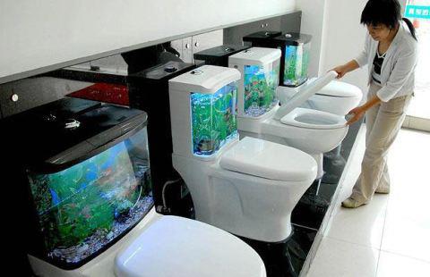 fish_toilet