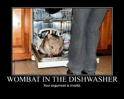 wombat_dishwasher_postert.jpg