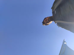 01-0-Copr_2024-Brandon_Cormier-Last_Image_before_Phone_Shatteredt.jpg