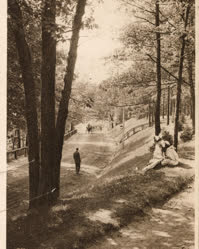 00-0-Copr_2026-High_Park_Torontot.jpg