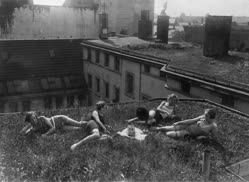 00-0-Copr_2026-four_women_enjoy_the_summer_on_a_green_roof_in_Berlin_the_radio_provides_entertainmentt.jpg