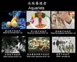 aquaristt.jpg