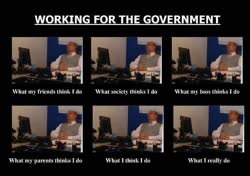 government_workt.jpg