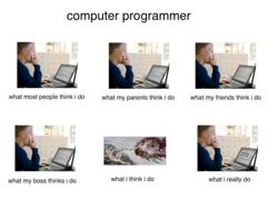 programmert.jpg