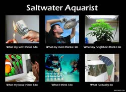 saltwater_aquaristt.jpg