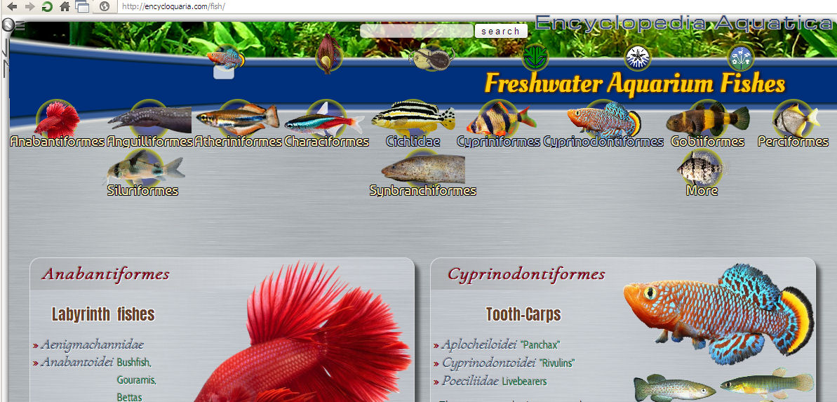 http://encycloquaria.com/fish