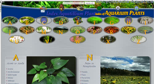 http://encycloquaria.com/plants